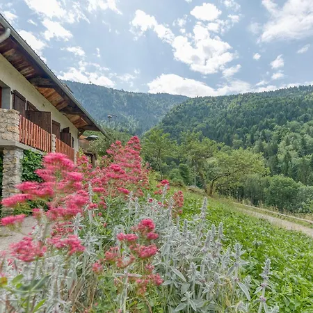 Chalet Passoud 204